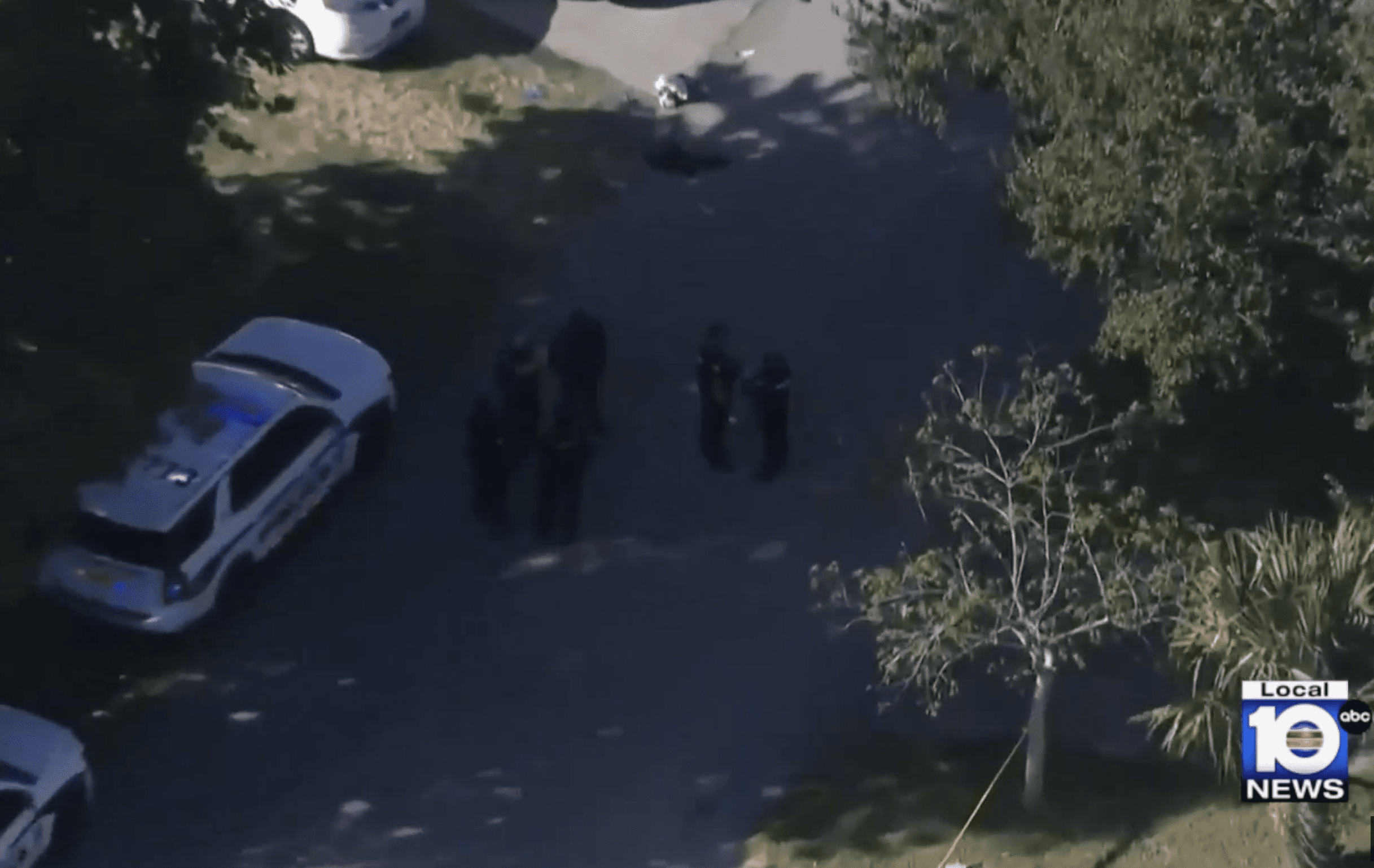 Stabbed and Struck by a Car